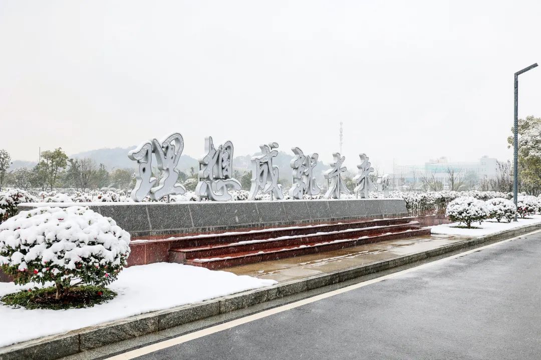 瑞雪兆豐年，邀您共賞雪中山河！