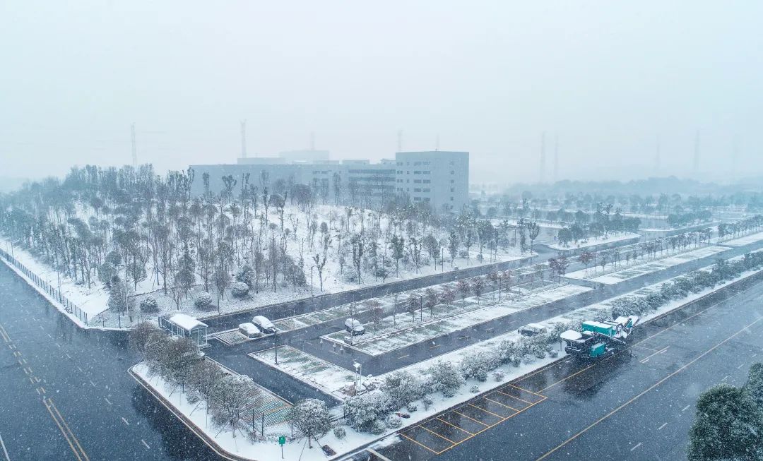 瑞雪兆豐年，邀您共賞雪中山河！